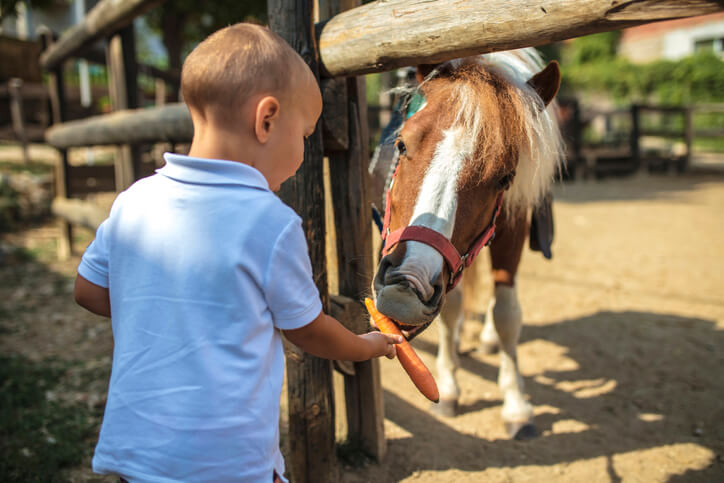 baby with horse
