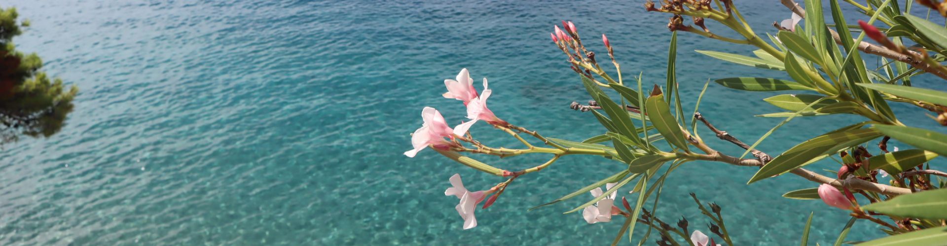 natural park mallorca
