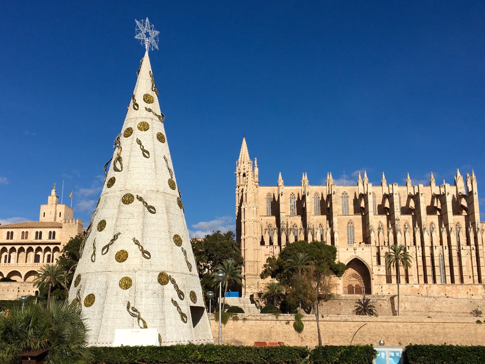 Navidad en Mallorca catedral