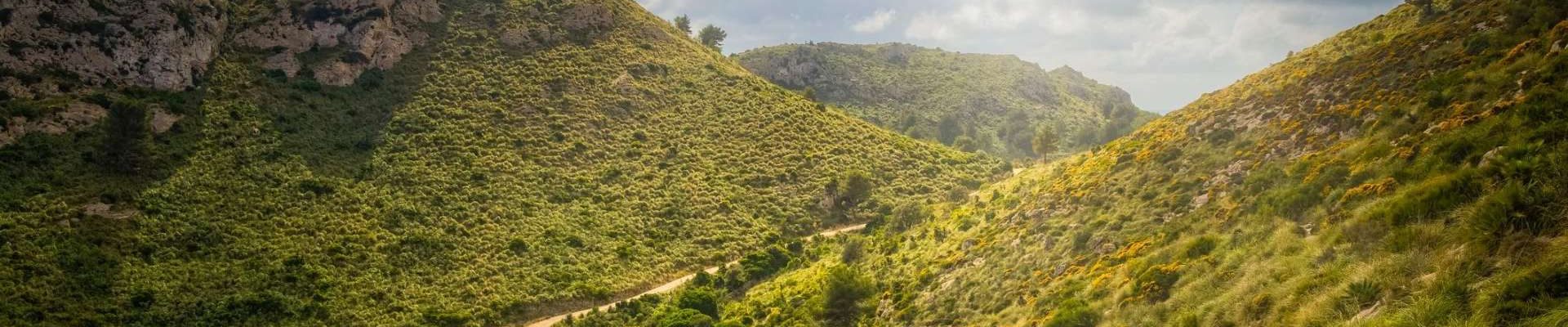 Parc-Natural-de-la-Peninsula-de-Llevant-ruta.jpg