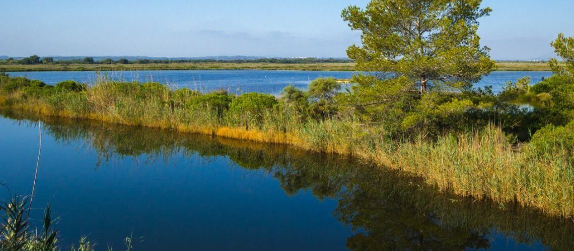S'albufera Mallorca visitar