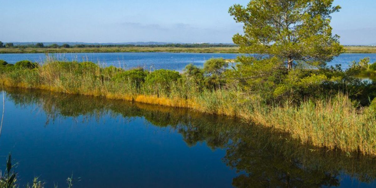 S'albufera Mallorca visitar