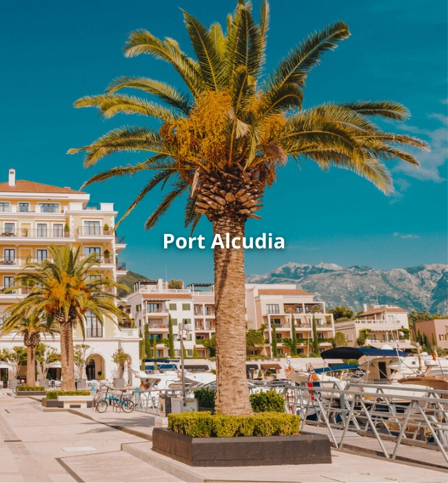 Hebergements a Port Alcudia