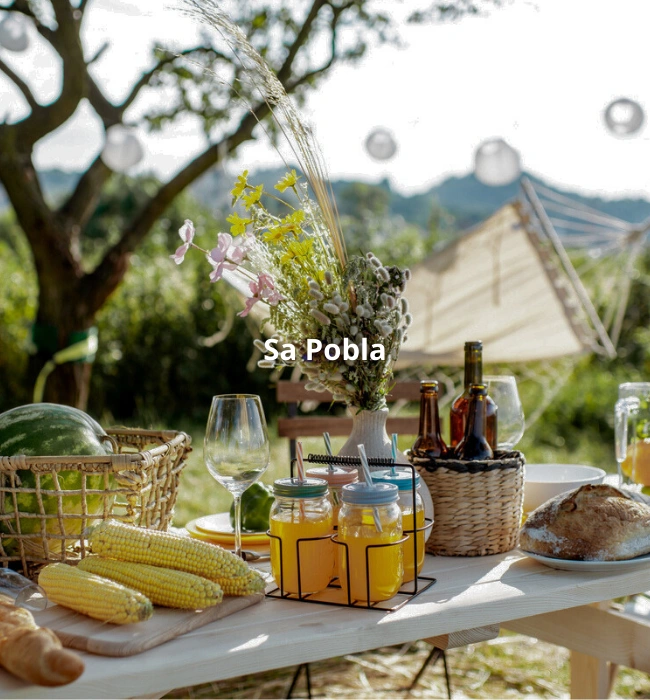 Hebergements a Sa Pobla