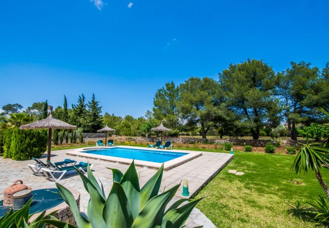 Finca in Pollensa - Mallorquinische Finca Pollensa La Caseta mit Pool Finca in Pollensa - Mallorquinische Finca Pollensa La Caseta mit Pool