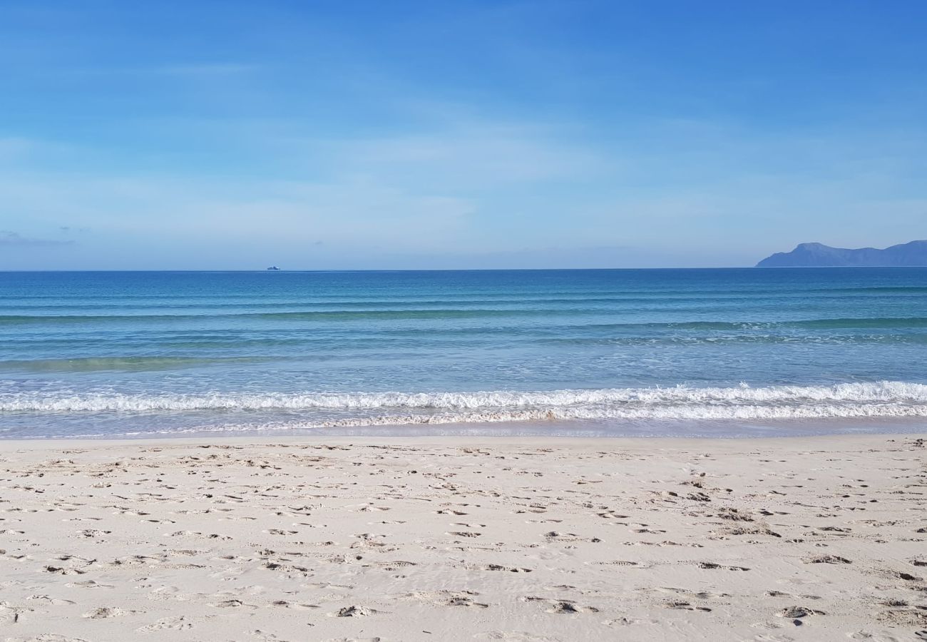 Ferienwohnung in Alcudia - Ferienwohnung Blue Palm Beach mit Meerblick