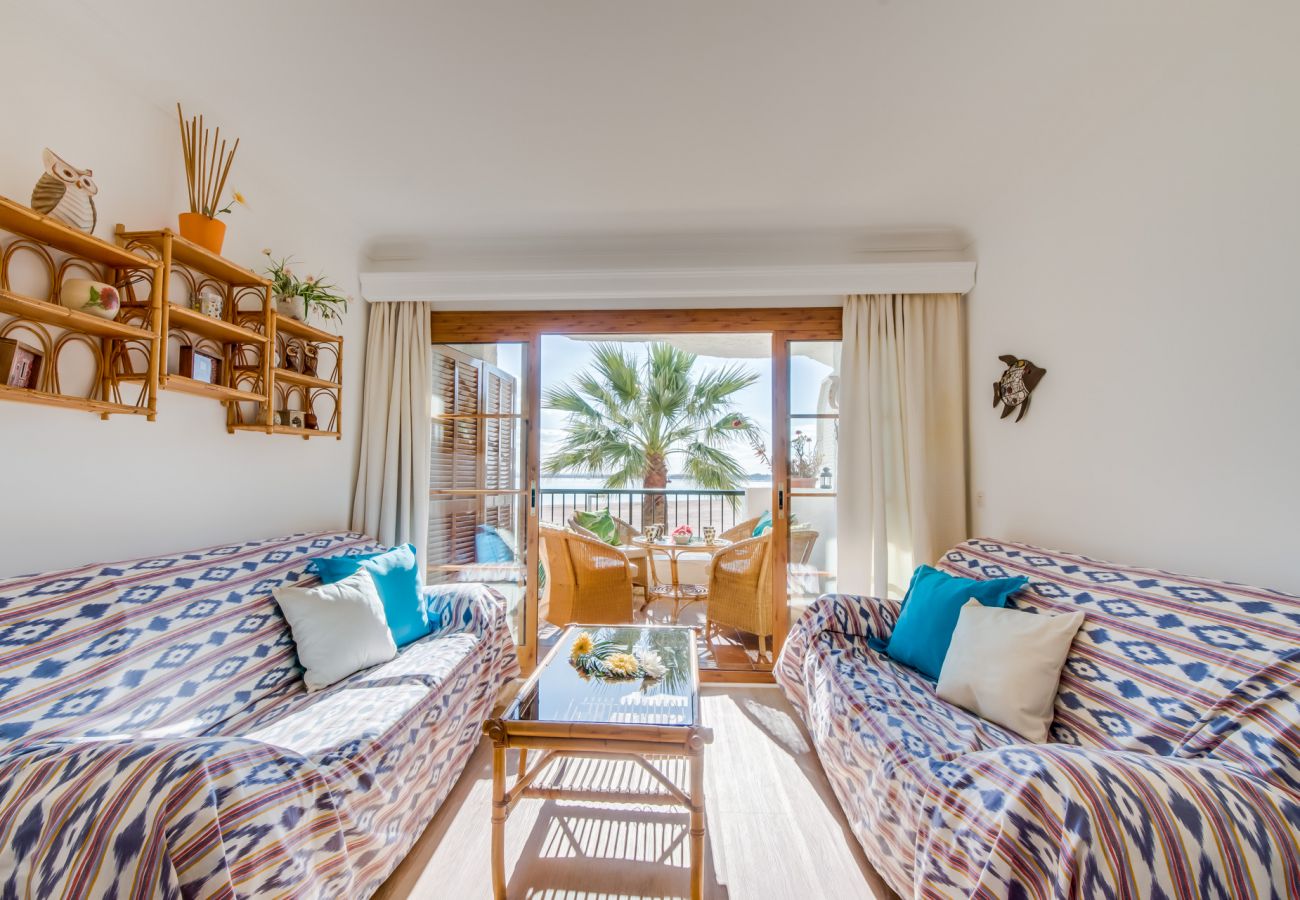Ferienwohnung in Alcudia - Wohnung am Strand Carabela 44 von Alcudia