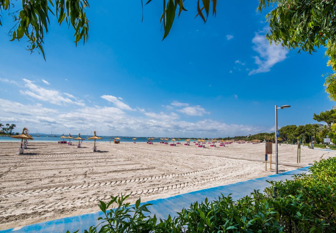 Ferienwohnung in Alcudia - Wohnung in Alcudia Cittadini 26 in erster Linie des Strandes
