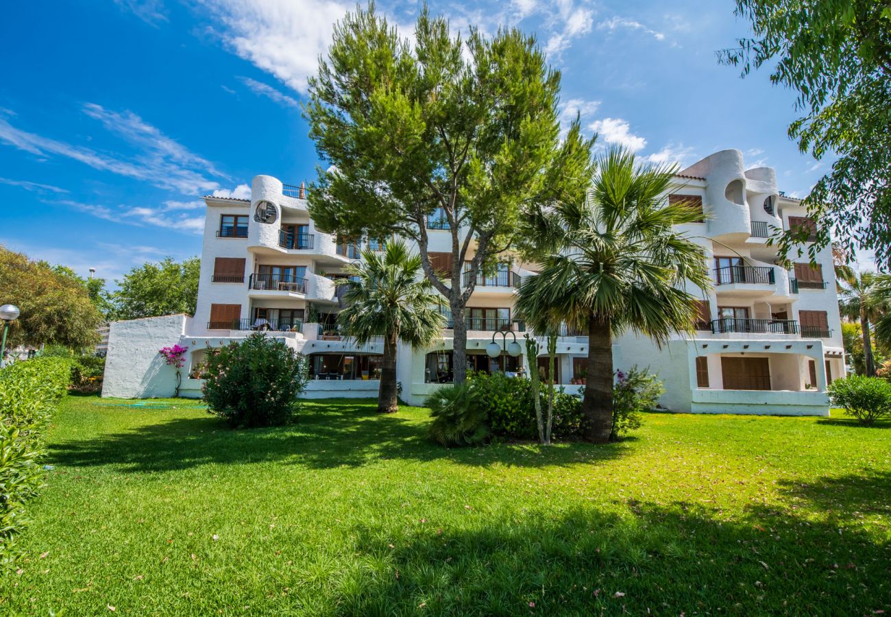 Ferienwohnung in Alcudia - Wohnung in Alcudia Cittadini 26 in erster Linie des Strandes