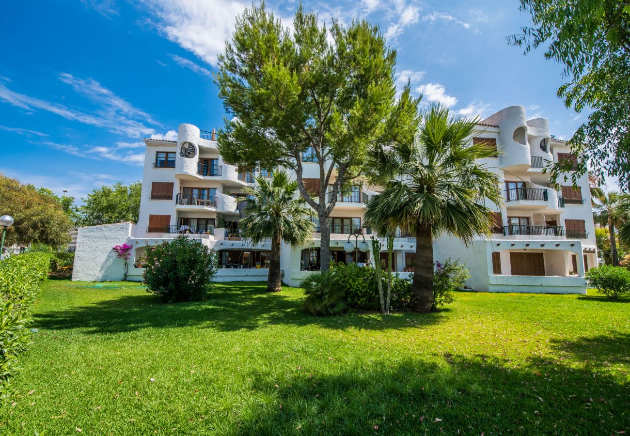 Ferienwohnung in Alcudia - Wohnung in erster Linie in Alcudia Cittadini 26