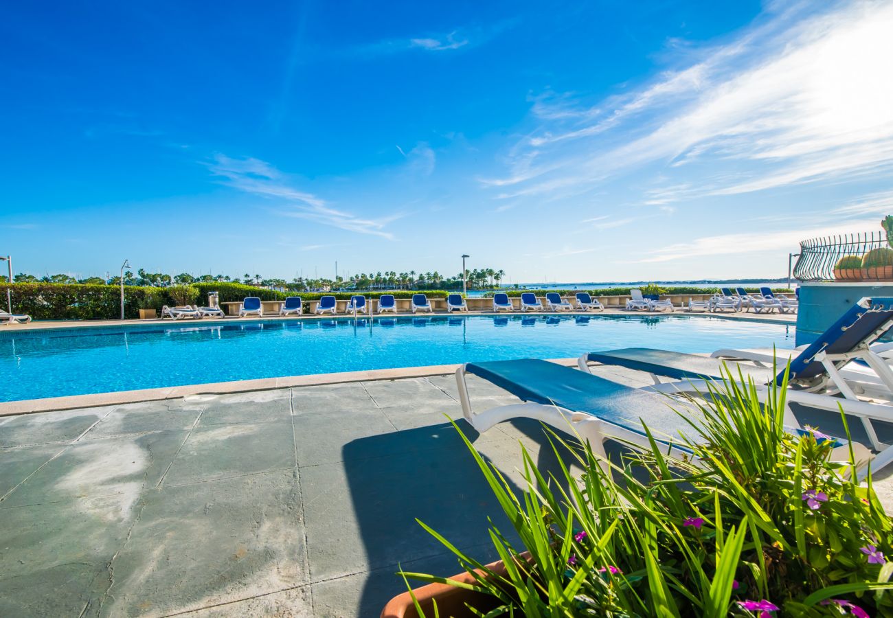 Ferienwohnung in Alcudia - Wohnung am Strand von Alcudia Cittadini 37 mit Pool