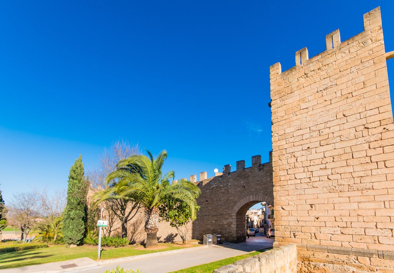 Ferienhaus in Alcudia - Ferienhaus Barbera in Alcudia