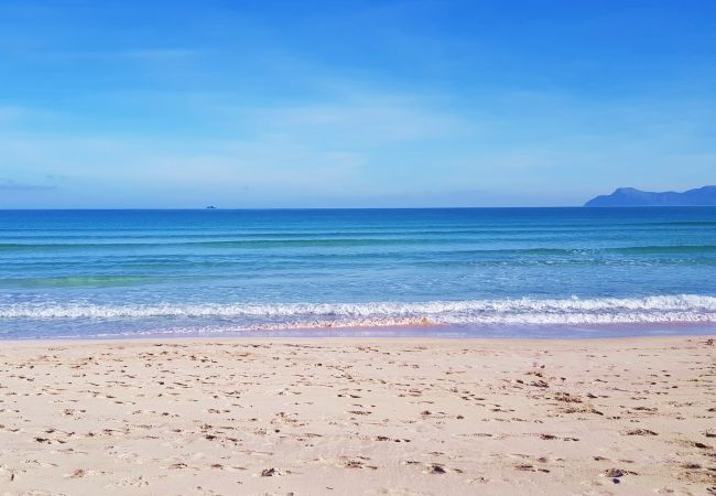 Ferienwohnung in Alcudia - Luxus-Wohnung Blue Sea in Alcudia Strandnähe