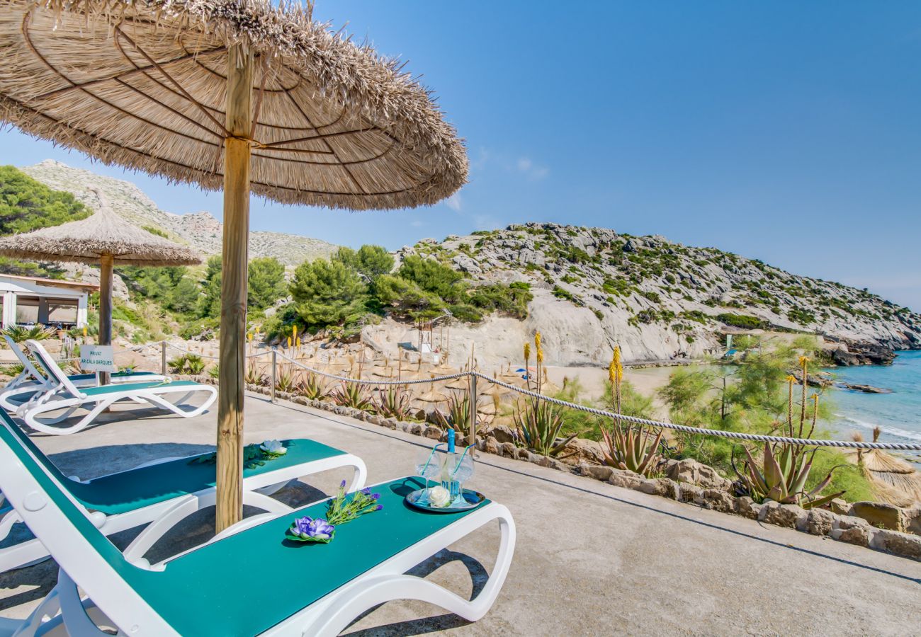 Ferienwohnung in Cala San Vicente - Wohnung am Strand Barques 2 auf Mallorca