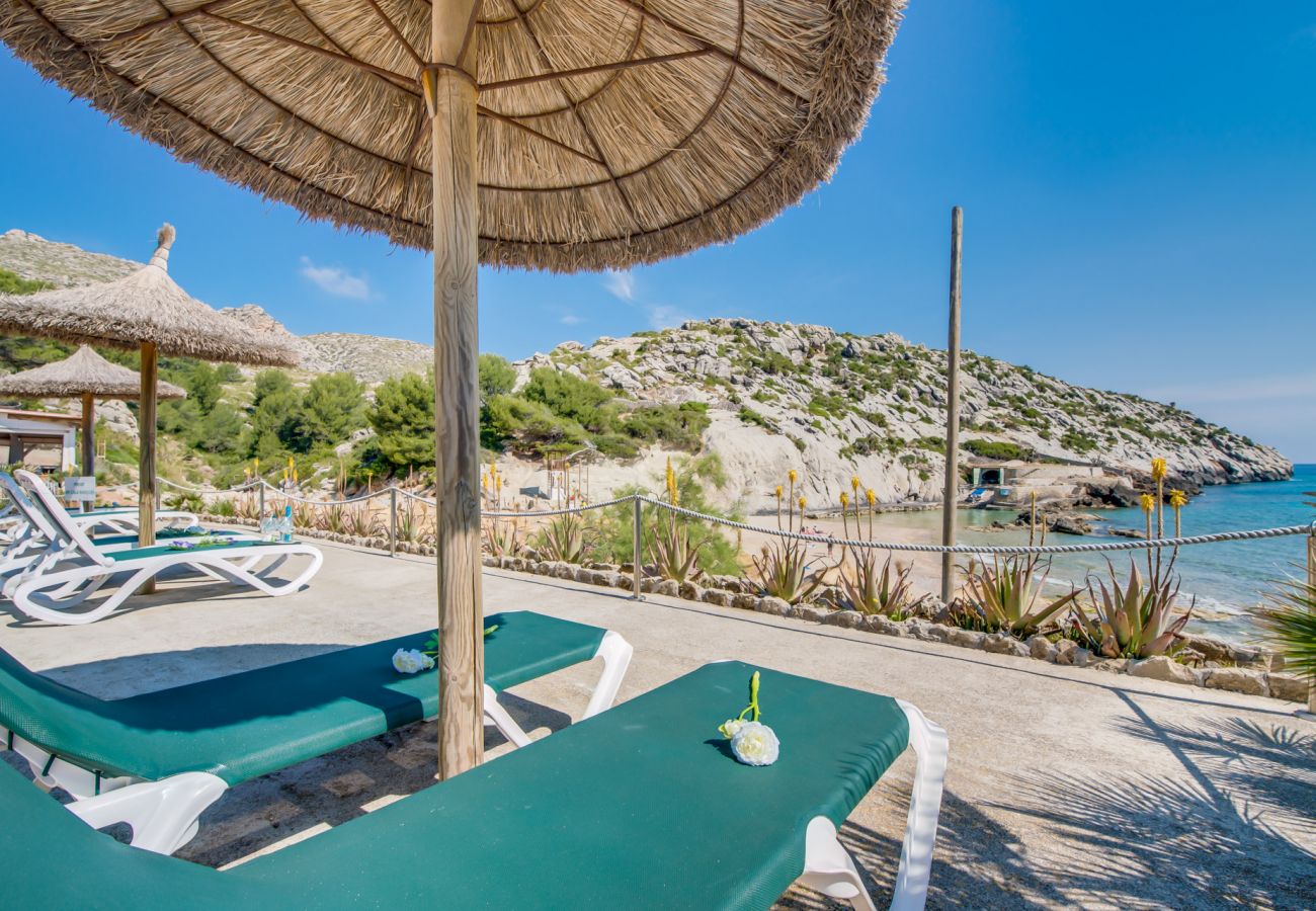 Ferienwohnung in Cala San Vicente - Wohnung am Strand Barques 2 auf Mallorca