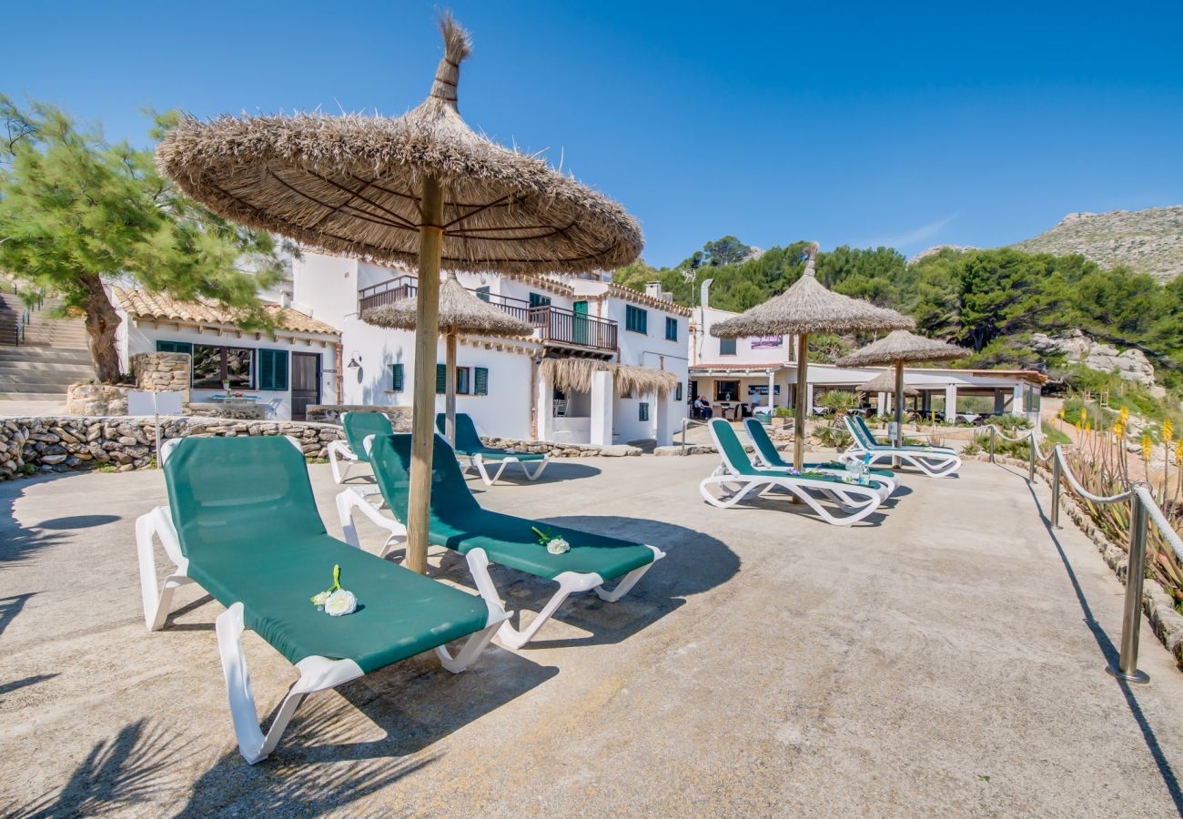 Ferienwohnung in Cala San Vicente - Wohnung am Strand Barques 2 auf Mallorca