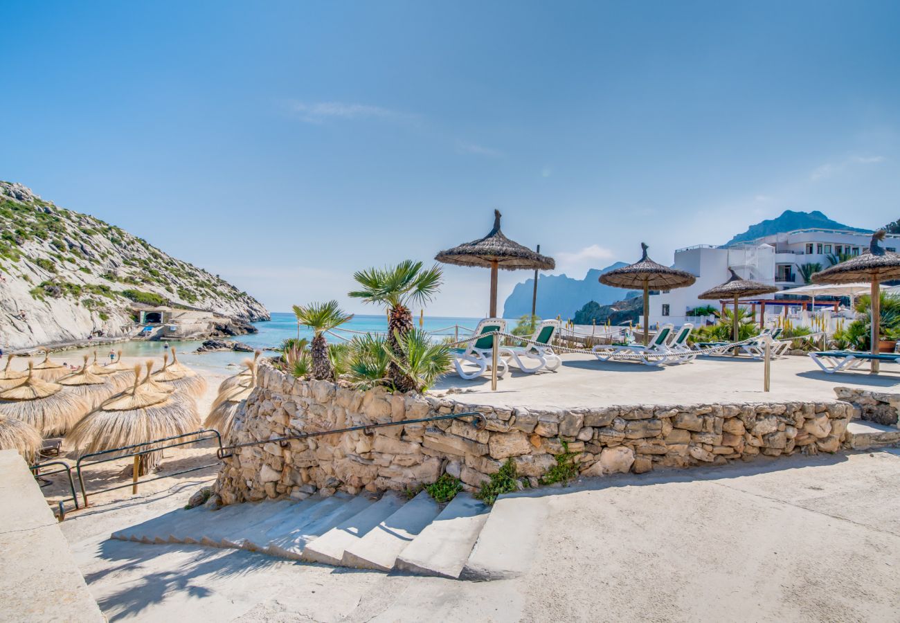 Ferienwohnung in Cala San Vicente - Wohnung am Strand Barques 2 auf Mallorca