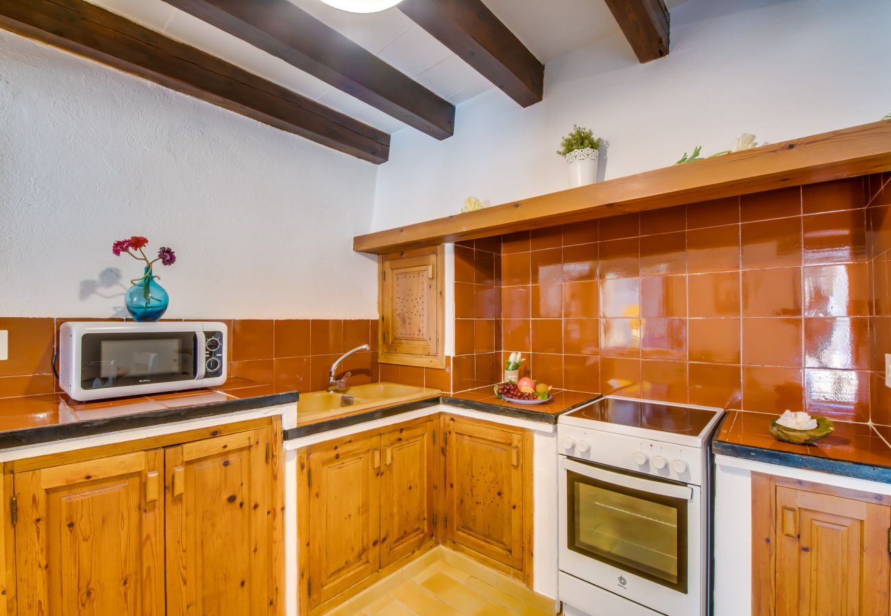 Ferienwohnung in Cala San Vicente - Wohnung am Strand Barques 2 auf Mallorca