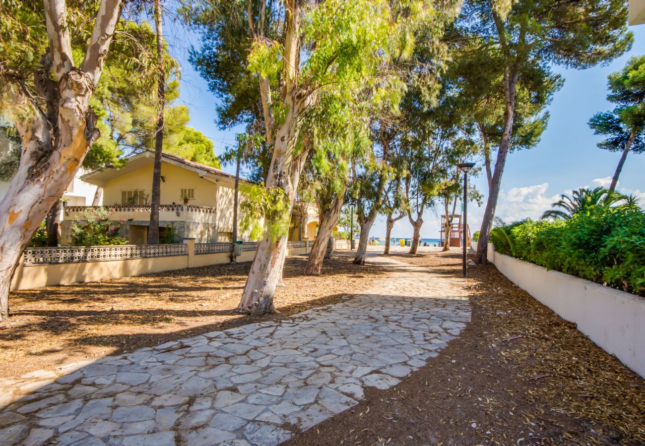 Ferienhaus in Alcudia - Haus Villa Rosita 12A am Strand von Alcudia