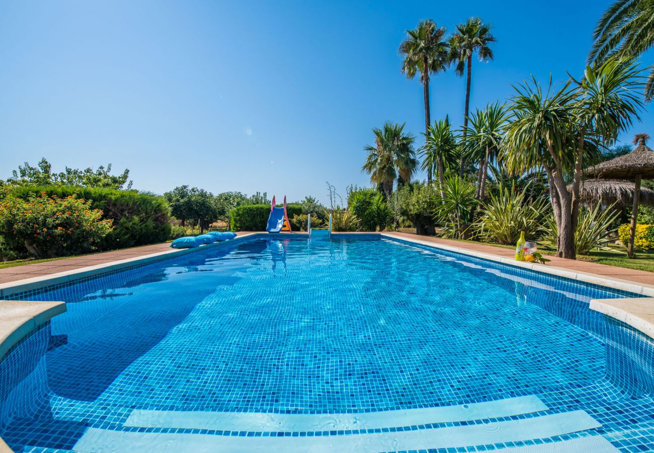 Finca in Santa Margalida - Mallorquinische Finca Coscois mit Pool auf Mallorca