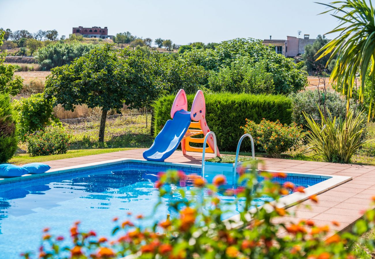 Finca in Santa Margalida - Mallorquinische Finca Coscois mit Pool Mallorca