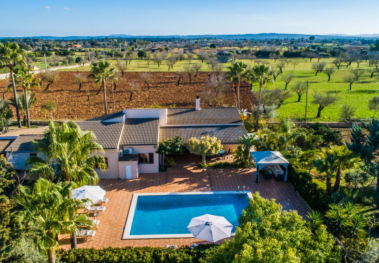 Finca in Inca - Ländliche Finca mit Pool Es Pascolet auf Mallorca