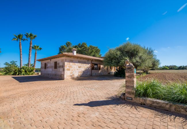 Finca in Can Picafort - Ländliches Anwesen Can Ribas in Can Picafort Finca in Can Picafort - Ländliches Anwesen Can Ribas in Can Picafort