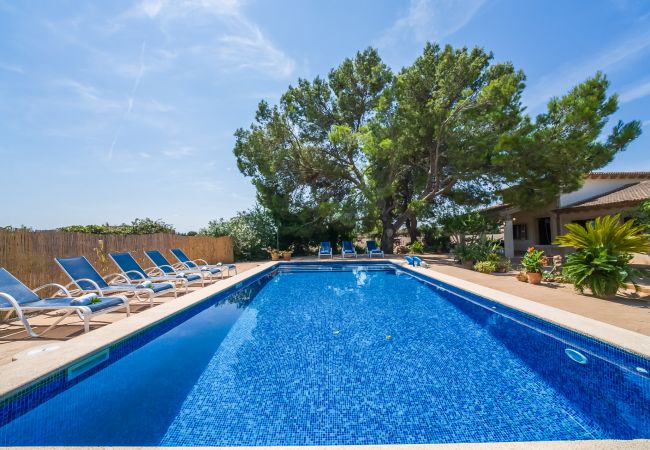 Finca in Can Picafort - Ländliches Anwesen Can Ribas in Can Picafort Finca in Can Picafort - Ländliches Anwesen Can Ribas in Can Picafort