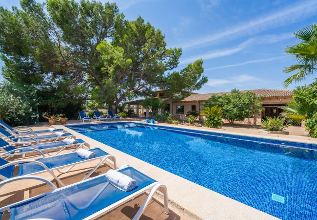 Finca in Can Picafort - Ländliches Anwesen Can Ribas in Can Picafort Finca in Can Picafort - Ländliches Anwesen Can Ribas in Can Picafort