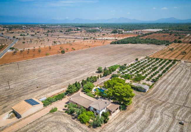 Finca in Can Picafort - Ländliches Anwesen Can Ribas in Can Picafort Finca in Can Picafort - Ländliches Anwesen Can Ribas in Can Picafort