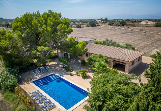 Finca in Can Picafort - Ländliches Anwesen Can Ribas in Can Picafort Finca in Can Picafort - Ländliches Anwesen Can Ribas in Can Picafort