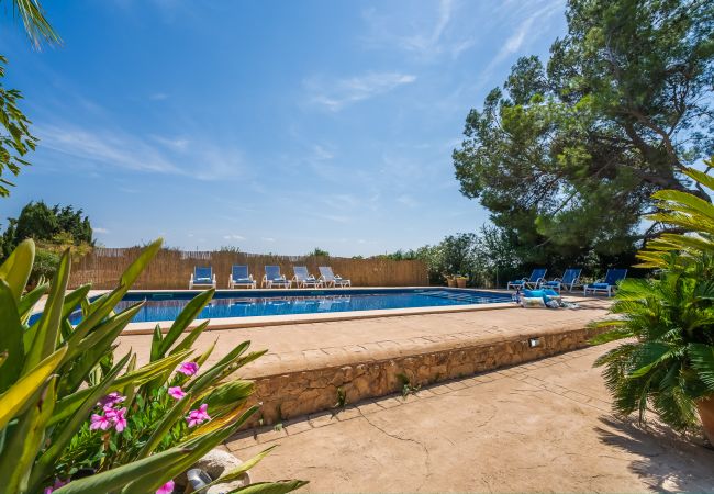 Finca in Can Picafort - Ländliches Anwesen Can Ribas in Can Picafort Finca in Can Picafort - Ländliches Anwesen Can Ribas in Can Picafort