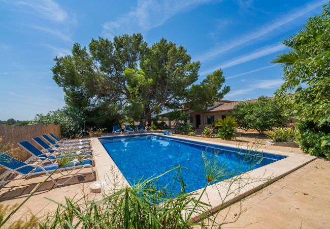 Grosse rustikale Finca mit Pool in Can Picafort