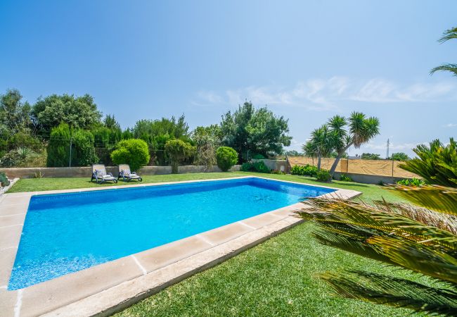 Finca in Sa Pobla - Ländliche Finca auf Mallorca Gomila mit Pool