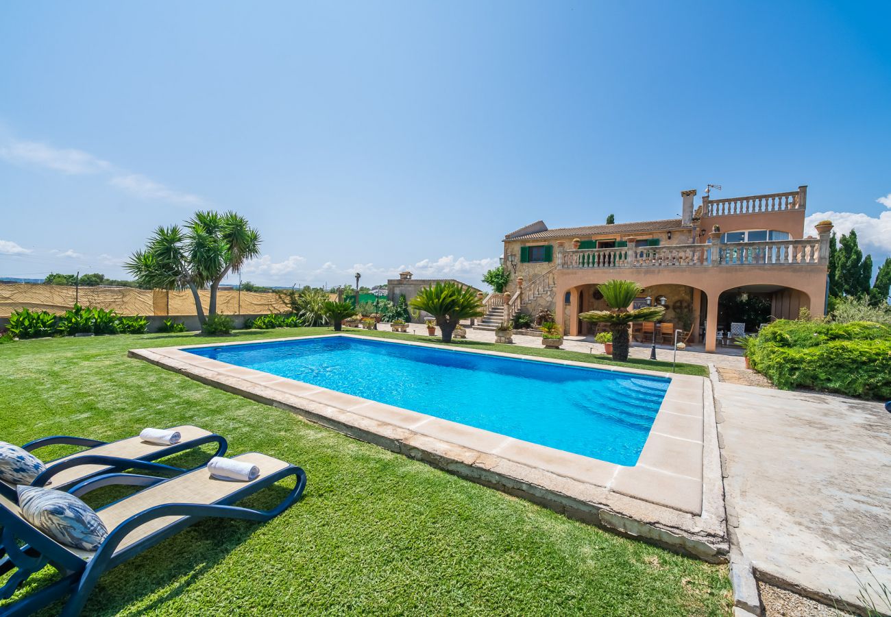 Finca in Sa Pobla - Ländliche Finca auf Mallorca Gomila mit Pool