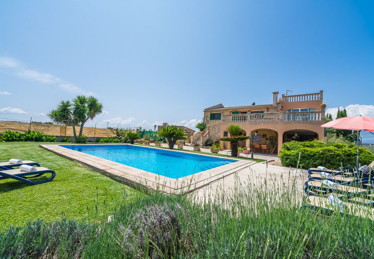 Finca in Sa Pobla - Ländliche Finca auf Mallorca Gomila mit Pool