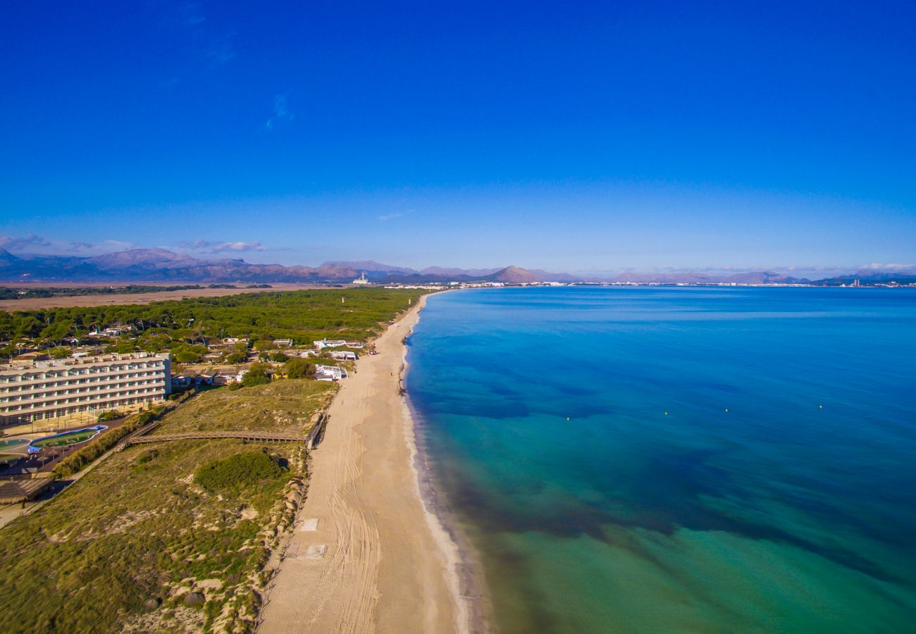 Finca in Petra - Ländliche Finca Es Puput mit Pool auf Mallorca