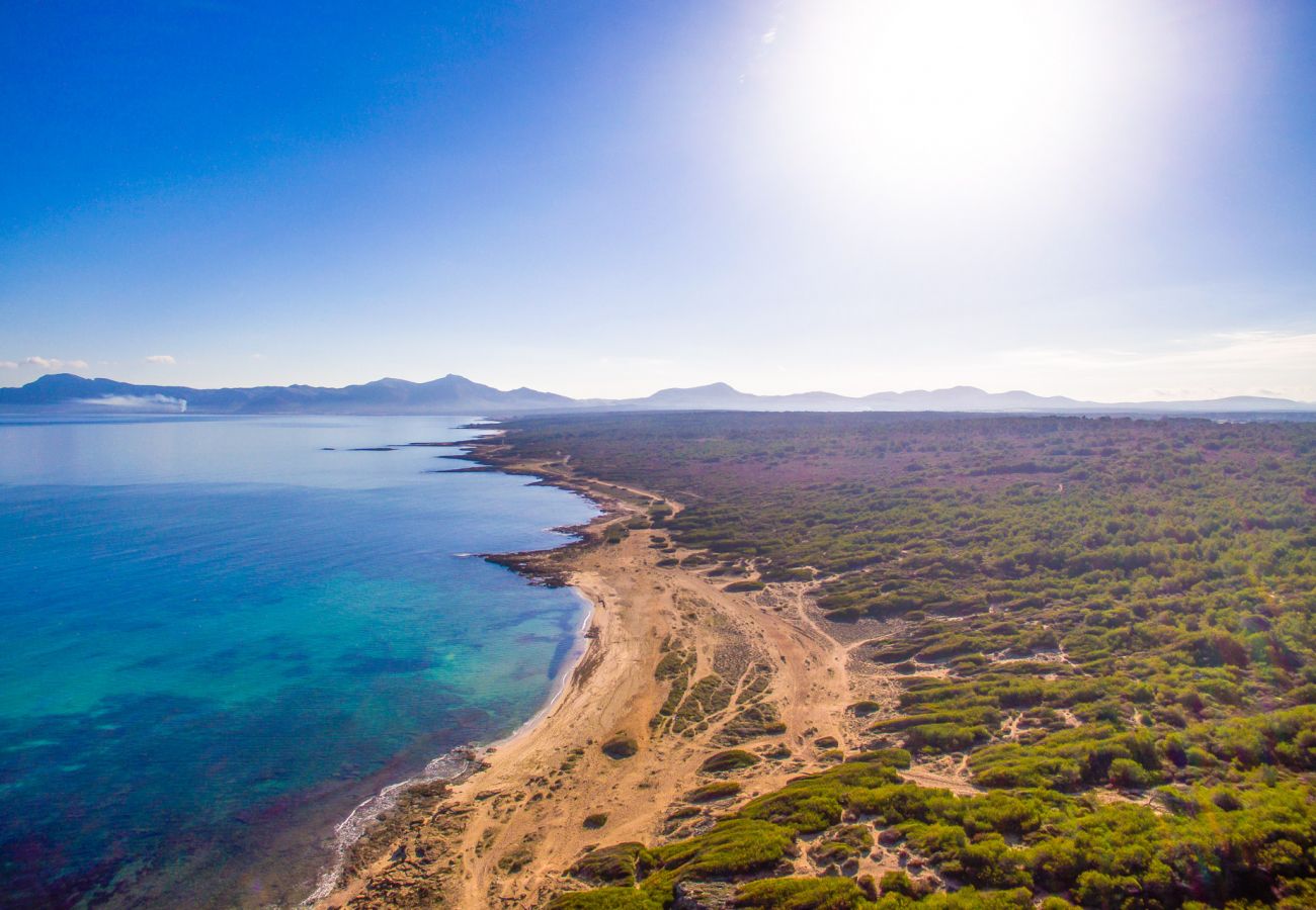 Finca in Petra - Ländliche Finca Es Puput mit Pool auf Mallorca