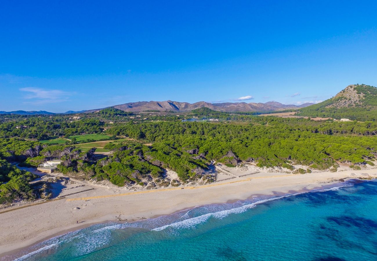 Finca in Petra - Ländliche Finca Es Puput mit Pool auf Mallorca