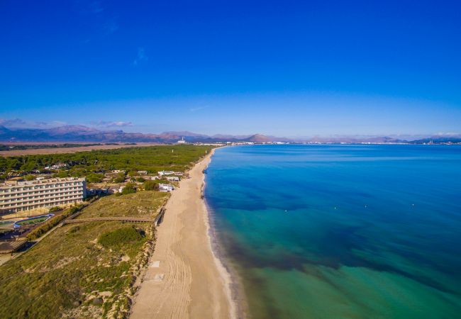 Ferienwohnung in Can Picafort - Wohnung Castello Playa Meerblick in Can Picafort