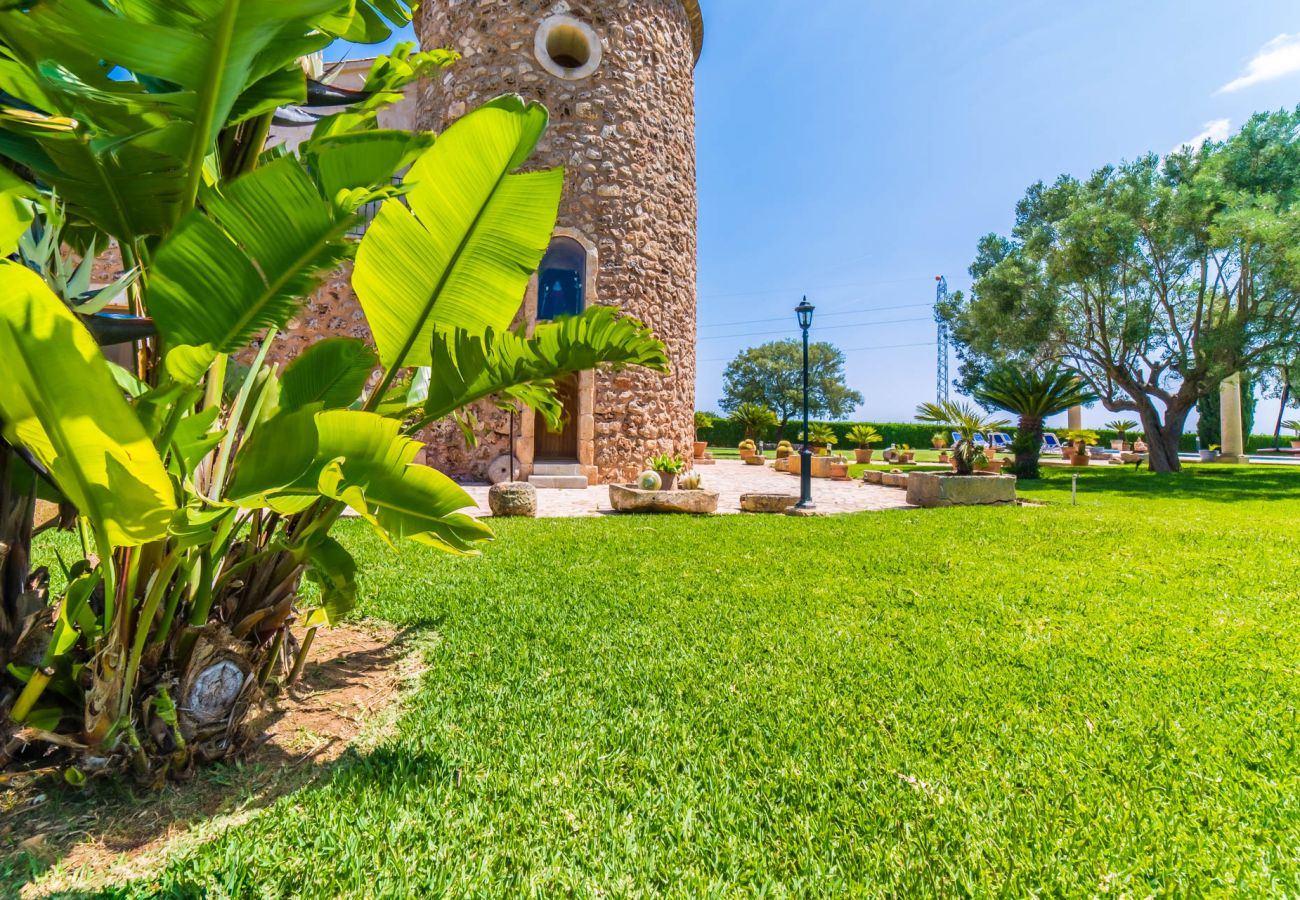Ferienhaus in Sa Pobla - Rustikale Finca auf Mallorca Can Colis mit Pool