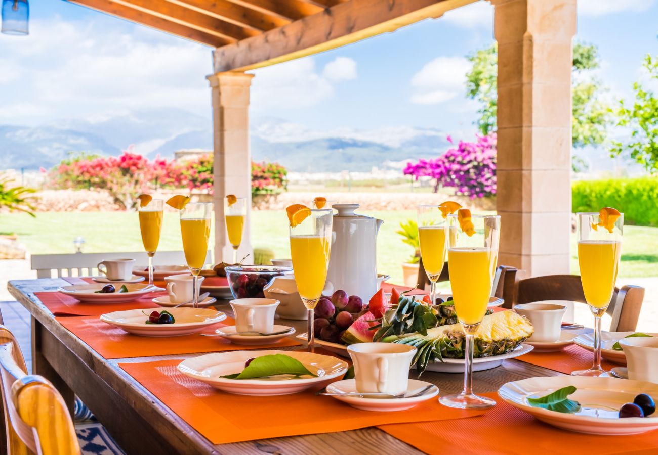 Ferienhaus in Sa Pobla - Rustikale Finca auf Mallorca Can Colis mit Pool