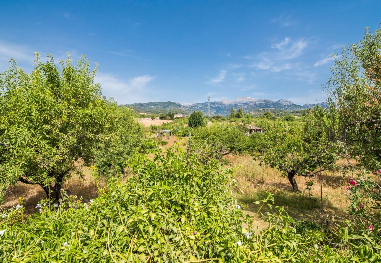 Finca in Inca - Casa rústica con piscina Can Reure en Mallorca