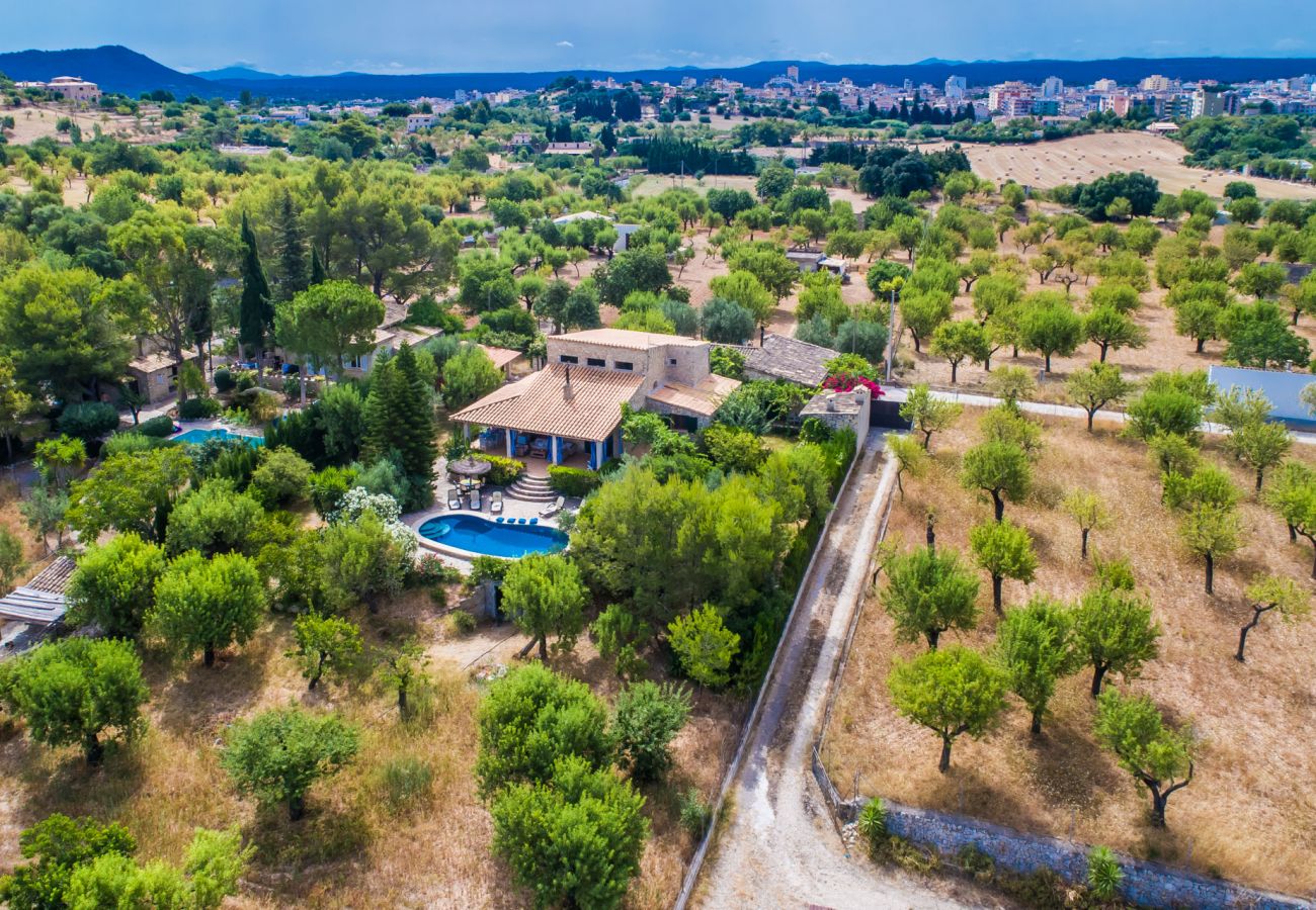 Finca in Inca - Casa rústica con piscina Can Reure en Mallorca