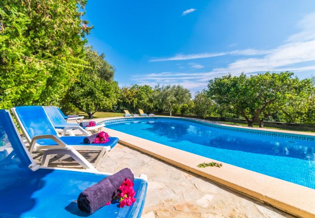 Land Finca Mallorca mit Pool und Ausblick 