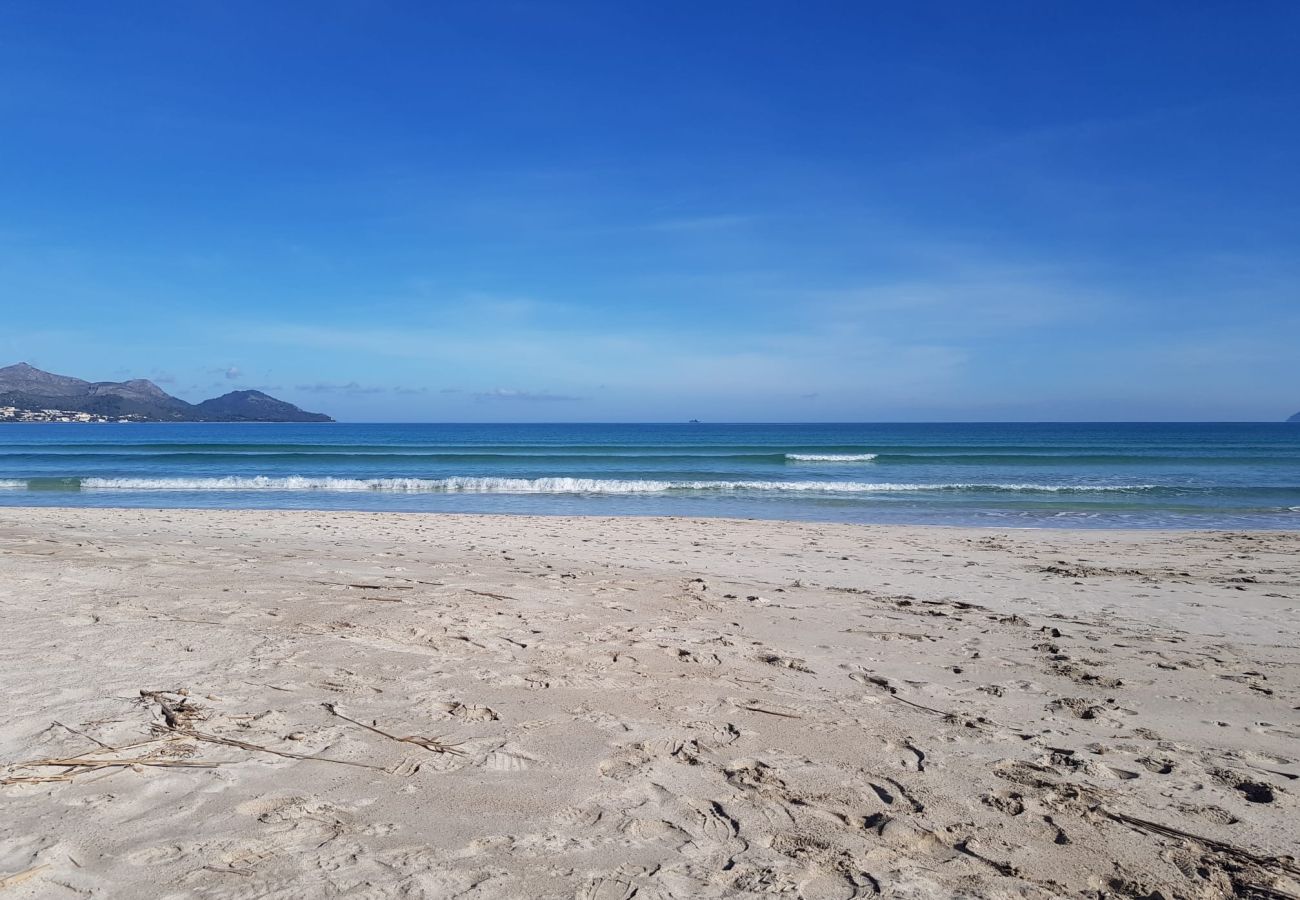 Ferienwohnung in Puerto de Alcudia - Wohnung Alcudia Portobello mit Meerblick 