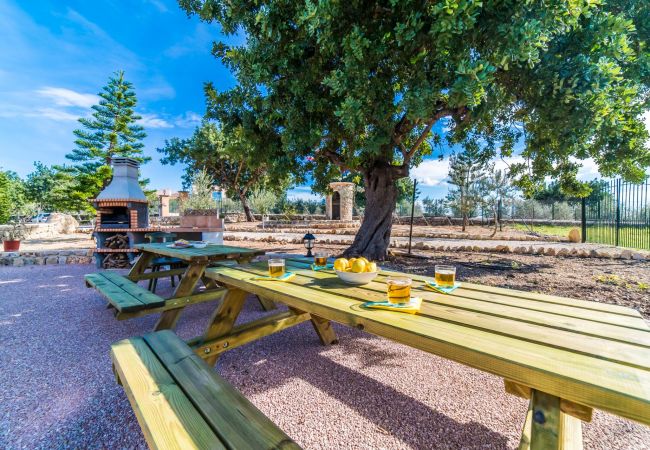 Finca in Selva - Finca Puig den Guardiola mit Bergblick Finca in Selva - Finca Puig den Guardiola mit Bergblick