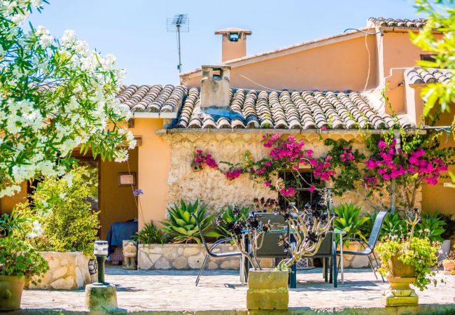 Finca in Pollensa - Landhaus in Pollensa Can Roig Gran mit Pool