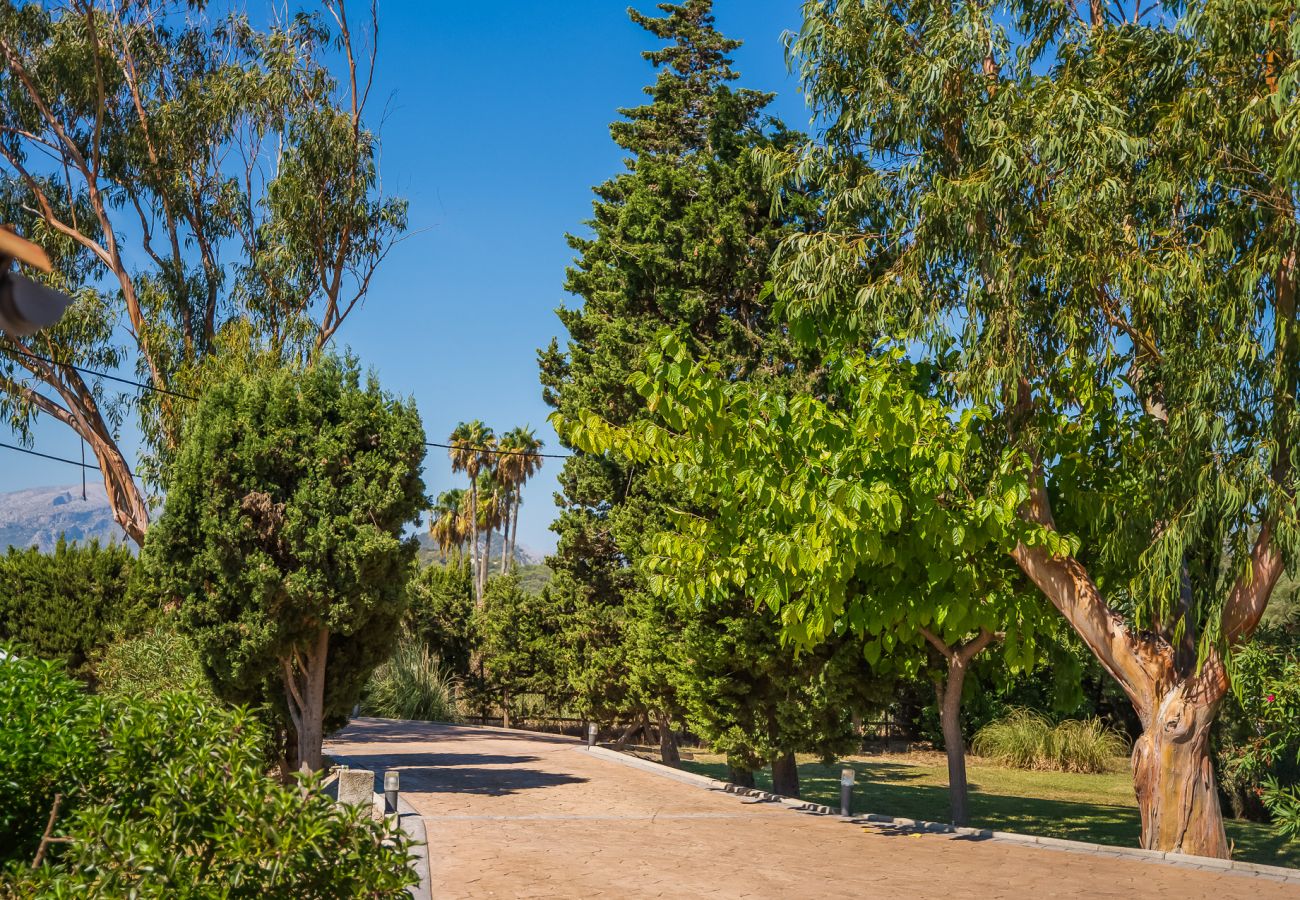 Finca in Puerto Pollensa - Finca in Meeresnähe Ses Rotes Pool  Pollensa