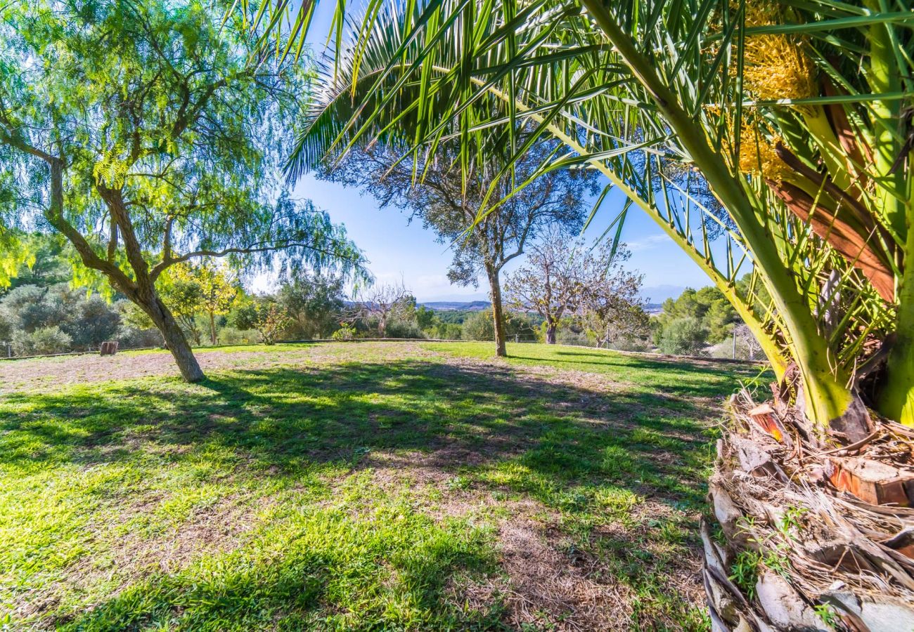 Finca in Sant Joan - Ländliche Finca mit Pool Sa Bastida auf Mallorca